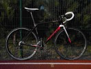 Giant TCR Advanced L Campagnolo Athena групсет