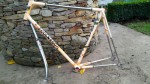 Colnago vintage